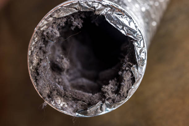 Best Local Air Duct Cleaning Services  in Berryville, TX