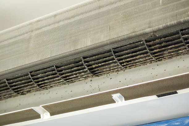 Best Professional Duct Cleaning Services  in Berryville, TX