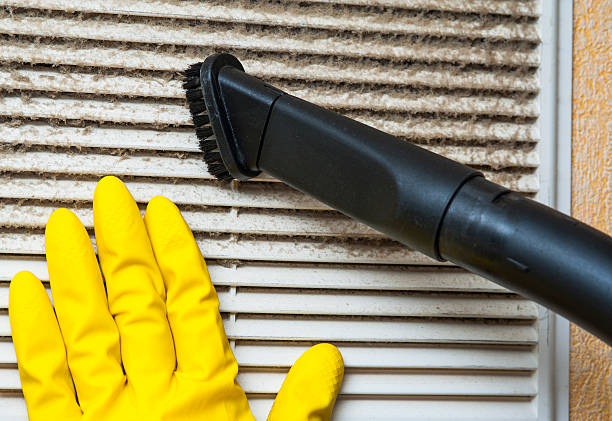 Best Air Duct Cleaning Near Me  in Berryville, TX