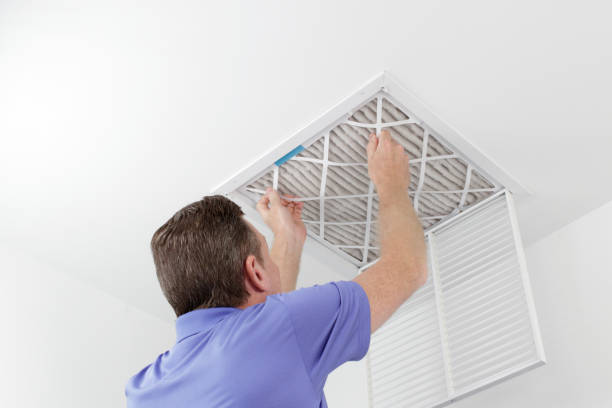 Air Duct Mold Removal in TX